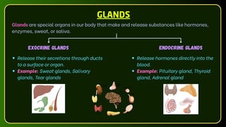 Exocrine glands Endocrine glands
GLANDS
Glands are special organs in our body that make and release substances like hormones,
enzymes, sweat, or saliva.
Release hormones directly into the
blood.
Example: Pituitary gland, Thyroid
gland, Adrenal gland
Release their secretions through ducts
to a surface or organ.
Example: Sweat glands, Salivary
glands, Tear glands
 