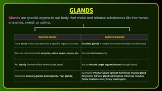 GLANDS
Glands are special organs in our body that make and release substances like hormones,
enzymes, sweat, or saliva.
Exocrine Glands Endocrine Glands
Have ducts → pour secretions to a specific organ or surface. Ductless glands → release hormones directly into the blood.
Secrete substances like enzymes, saliva, sweat, mucus, etc. Secrete hormones only.
Act locally (limited effect where ducts open). Act on distant target organs/tissues through blood.
Examples: Salivary glands, Sweat glands, Tear glands.
Examples: Pituitary gland (growth hormone), Thyroid gland
(thyroxin), Adrenal gland (adrenaline), Pancreas (insulin),
Testis (testosterone), Ovary (oestrogen).
 