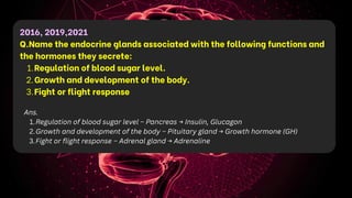 2016, 2019,2021
Q.Name the endocrine glands associated with the following functions and
the hormones they secrete:
1.Regulation of blood sugar level.
2.Growth and development of the body.
3.Fight or flight response
Ans.
1.Regulation of blood sugar level – Pancreas → Insulin, Glucagon
2.Growth and development of the body – Pituitary gland → Growth hormone (GH)
3.Fight or flight response – Adrenal gland → Adrenaline
 
