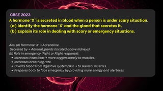 CBSE 2023
A hormone ‘X’ is secreted in blood when a person is under scary situation.
(a) Identify the hormone ‘X’ and the gland that secretes it.
(b) Explain its role in dealing with scary or emergency situations.
Ans. (a) Hormone ‘X’ → Adrenaline
Secreted by → Adrenal glands (located above kidneys).
(b) Role in emergency (Fight or Flight response):
Increases heartbeat → more oxygen supply to muscles.
Increases breathing rate.
Diverts blood from digestive system/skin → to skeletal muscles.
Prepares body to face emergency by providing more energy and alertness.
 