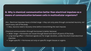 Q. Why is chemical communication better than electrical impulses as a
means of communication between cells in multicellular organisms?
Ans. Electrical impulses have a limited range → they can only pass through connected neurons, not
reach every cell of the body.
Also, neurons need a recovery time before transmitting the next impulse.
Chemical communication (through hormones) is better because:
Wider range → Hormones can travel through blood and reach all parts of the body.
Long-lasting effect → Chemical signals act for longer duration, unlike the short-lived electrical
impulses.
Target-specific → Hormones act only on specific target tissues or organs.
 