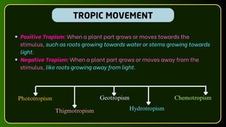 TROPIC MOVEMENT
Positive Tropism: When a plant part grows or moves towards the
stimulus, such as roots growing towards water or stems growing towards
light.
Negative Tropism: When a plant part grows or moves away from the
stimulus, like roots growing away from light.
Phototropism Geotropism Chemotropism
Hydrotropism
Thigmotropism
 