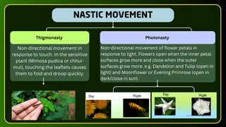Non-directional movement in
response to touch. In the sensitive
plant (Mimosa pudica or chhui-
mui), touching the leaflets causes
them to fold and droop quickly.
Thigmonasty
Non-directional movement of flower petals in
response to light. Flowers open when the inner petal
surfaces grow more and close when the outer
surfaces grow more. e.g. Dandelion and Tulip (open in
light) and Moonflower or Evening Primrose (open in
dark/close in sun).
Photonasty
NASTIC MOVEMENT
 