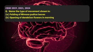 CBSE 2019, 2021, 2024
Q. Name the type of movement shown in:
(a) Folding of Mimosa pudica leaves
(b) Opening of dandelion flowers in morning
 