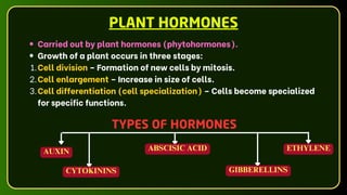TYPES OF HORMONES
PLANT HORMONES
Carried out by plant hormones (phytohormones).
Growth of a plant occurs in three stages:
1.Cell division – Formation of new cells by mitosis.
2.Cell enlargement – Increase in size of cells.
3.Cell differentiation (cell specialization) – Cells become specialized
for specific functions.
AUXIN
GIBBERELLINS
ABSCISIC ACID
CYTOKININS
ETHYLENE
 