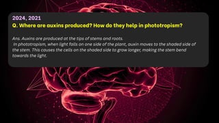 2024, 2021
Q. Where are auxins produced? How do they help in phototropism?
Ans. Auxins are produced at the tips of stems and roots.
In phototropism, when light falls on one side of the plant, auxin moves to the shaded side of
the stem. This causes the cells on the shaded side to grow longer, making the stem bend
towards the light.
 