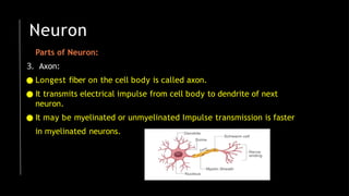 Neuron
Parts of Neuron:
3. Axon:
● Longest fiber on the cell body is called axon.
● It transmits electrical impulse from cell body to dendrite of next
neuron.
● It may be myelinated or unmyelinated Impulse transmission is faster
in myelinated neurons.
 