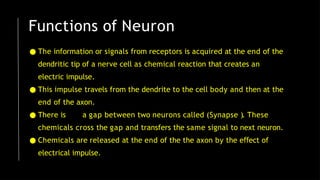 Functions of Neuron
● The information or signals from receptors is acquired at the end of the
dendritic tip of a nerve cell as chemical reaction that creates an
electric impulse.
● This impulse travels from the dendrite to the cell body and then at the
end of the axon.
● There is a gap between two neurons called (Synapse ). These
chemicals cross the gap and transfers the same signal to next neuron.
● Chemicals are released at the end of the the axon by the e ect
ﬀ of
electrical impulse.
 