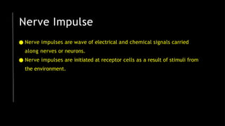 Nerve Impulse
● Nerve impulses are wave of electrical and chemical signals carried
along nerves or neurons.
● Nerve impulses are initiated at receptor cells as a result of stimuli from
the environment.
 