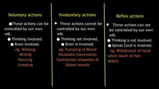 Voluntary actions
●These actions can be
controlled by our own
will.
● Thinking involved.
● Brain involved.
eg. Walking
Writing
Dancing
Jumping
Involuntary actions
● These actions cannot be
controlled by our own
will.
● Thinking not involved.
● Brain is involved.
eg. Pumping of Blood
Peristaltic movements
Contraction relaxation of
blood vessels
Reﬂex actions
● These actions can not
be controlled by our own
will.
● Thinking is not involved.
● Spinal Cord is involved.
eg. Withdrawal of hand
when touch an hot
object.
 