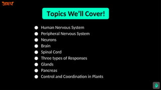 Topics We’ll Cover!
● Human Nervous System
● Peripheral Nervous System
● Neurons
● Brain
● Spinal Cord
● Three types of Responses
● Glands
● Pancreas
● Control and Coordination in Plants
 