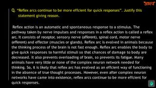 Q. “Reﬂex arcs continue to be more effcient for quick responses”. Justify this
statement giving reason.
Reﬂex action is an automatic and spontaneous response to a stimulus. The
pathway taken by nerve impulses and responses in a reﬂex action is called a reﬂex
arc. It consists of receptor, sensory nerve (a erent),
ﬀ spinal cord, motor nerve
(e erent)
ﬀ and e ector
ﬀ (muscles or glands). Reﬂex arc is evolved in animals because
the thinking process of the brain is not fast enough. Reﬂex arc enables the body to
give quick responses to harmful stimuli so that chances of damage to body are
decreased. It also prevents overloading of brain, so prevents its fatigue. Many
animals have very little or none of the complex neuron network needed for
thinking. So, it is likely that reﬂex arc has evolved as an effcient way of functioning
in the absence of true thought processes. However, even after complex neuron
networks have came into existence, reﬂex arcs continue to be more effcient for
quick responses.
 