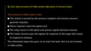 Q. How does process of reﬂex action take place in human body?
The process of reﬂex action is like
● The stimuli is sensed by the sensory receptors and sensory neurons
generate impulses.
● These impulses reach the spinal cord
● The relay neuron in the spinal cord passes signals between neurons.
● The motor neurons pass the signals for response to the organ that needs
to respond to stimulus.
The information input also goes on to reach the brain. But it is not involved
in reﬂex action.
 