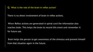 Q. What is the role of the brain in reﬂex action?
There is no direct involvement of brain in reﬂex actions.
When Reﬂex actions are generated in spinal cord the information also
reaches brain. This helps the brain to record this event and remember it
for future use.
Brain helps the person to get awareness of the stimulus and prevent himself
from that situation again in the future.
 