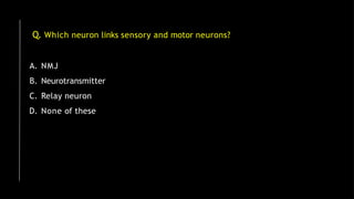 Q. Which neuron links sensory and motor neurons?
A. NMJ
B. Neurotransmitter
C. Relay neuron
D. None of these
 