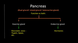 Pancreas
(Dual gland/ mixed gland/ heterocrine gland)
Function as both:
Exocrine gland Endocrine gland
Pancreatic Juice -
Trypsin, lipase,
etc.
Hormones
 