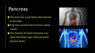 Pancreas
● The pancreas is just below the stomach
in the body.
● Pancreas secretes the hormone called
insulin.
● The function of insulin hormone is to
lower the blood sugar level (or blood
glucose level).
 