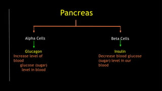 Alpha Cells
Glucagon
Increase level of
blood
glucose (sugar)
level in blood
Beta Cells
Insulin
Decrease blood glucose
(sugar) level in our
blood
Pancreas
 