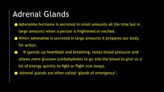 ● Adrenaline hormone is secreted in small amounts all the time but in
large amounts when a person is frightened or excited.
● When adrenaline is secreted in large amounts it prepares our body
for action.
● It speeds up heartbeat and breathing, raises blood pressure and
allows more glucose (carbohydrate) to go into the blood to give us a
lot of energy quickly to fight or ﬂight (run away).
● Adrenal glands are often called ‘glands of emergency’.
Adrenal Glands
 