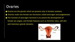 Ovaries
● Ovaries are the glands which are present only in females (women).
● Ovaries make two female sex hormones called oestrogen and progesterone.
● The function of oestrogen hormone is to control the development of
female sex organs, and female features such as feminine voice, soft skin
and mammary glands (breasts).
 