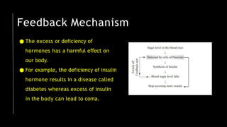 Feedback Mechanism
● The excess or deficiency of
hormones has a harmful e ect
ﬀ on
our body.
● For example, the deficiency of insulin
hormone results in a disease called
diabetes whereas excess of insulin
in the body can lead to coma.
 