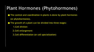 Plant Hormones (Phytohormones)
● The control and coordination in plants is done by plant hormones
(or phytohormones).
● The growth of a plant can be divided into three stages:
1.Cell division
2.Cell enlargement
3.Cell di erentiation
ﬀ (or cell specialization)
 
