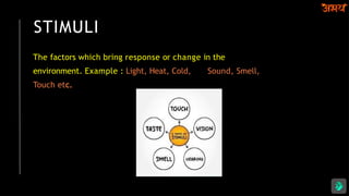 STIMULI
The factors which bring response or change in the
environment. Example : Light, Heat, Cold, Sound, Smell,
Touch etc.
 