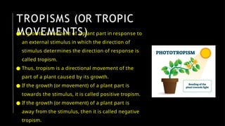 TROPISMS (OR TROPIC
MOVEMENTS)
● A growth movement of a plant part in response to
an external stimulus in which the direction of
stimulus determines the direction of response is
called tropism.
● Thus, tropism is a directional movement of the
part of a plant caused by its growth.
● If the growth (or movement) of a plant part is
towards the stimulus, it is called positive tropism.
● If the growth (or movement) of a plant part is
away from the stimulus, then it is called negative
tropism.
 
