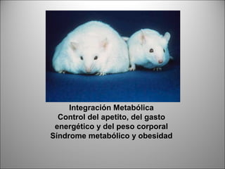 Integración Metabólica
  Control del apetito, del gasto
 energético y del peso corporal
Síndrome metabólico y obesidad
 