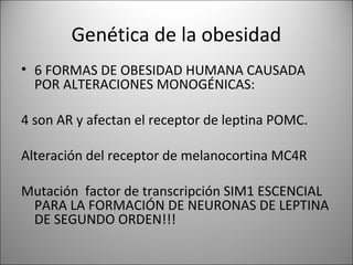 Genética de la obesidad
• 6 FORMAS DE OBESIDAD HUMANA CAUSADA
  POR ALTERACIONES MONOGÉNICAS:

4 son AR y afectan el receptor de leptina POMC.

Alteración del receptor de melanocortina MC4R

Mutación factor de transcripción SIM1 ESCENCIAL
 PARA LA FORMACIÓN DE NEURONAS DE LEPTINA
 DE SEGUNDO ORDEN!!!
 