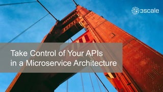 Take Control of Your APIs
in a Microservice Architecture
 