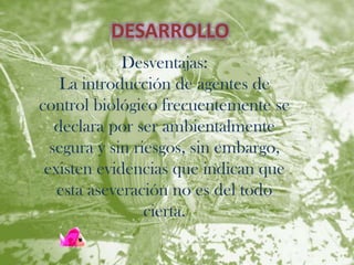 DESARROLLO
             Desventajas:
    La introducción de agentes de
control biológico frecuentemente se
   declara por ser ambientalmente
  segura y sin riesgos, sin embargo,
 existen evidencias que indican que
   esta aseveración no es del todo
                 cierta.
 