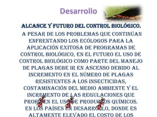 Alcance y futuro del control biológico.
 A pesar de los problemas que continúan
    enfrentando los ecólogos para la
   aplicación exitosa de programas de
control biológico, en el futuro el uso de
control biológico como parte del Manejo
 de plagas debe ir en ascenso debido al
    incremento en el número de plagas
       resistentes a los insecticidas,
  contaminación del medio ambiente y el
   incremento de las regulaciones que
  prohíben el uso de productos químicos.
  En los países en desarrollo, donde es
 