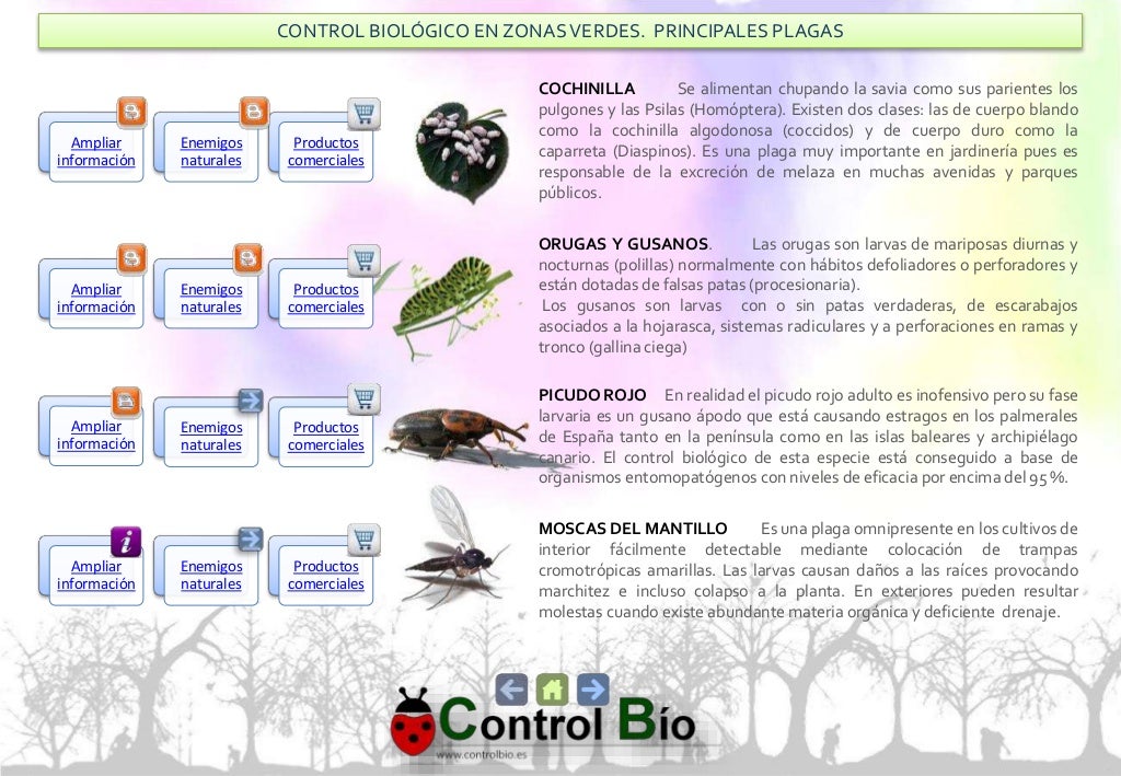Control biológico de plagas en jardineria