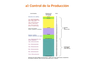 a) Control de la Producción
 
