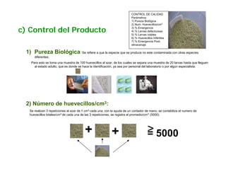 CONTROL DE CALIDAD
                                                                           Parámetros:
                                                                           1) Pureza Biológica
                                                                           2) Num. Huevecillos/cm3

c) Control del Producto                                                    3) % Emergencia
                                                                           4) % Larvas defectuosas
                                                                           5) % Larvas viables
                                                                           6) % Huevecillos Infértiles
                                                                           7) % Emergencia Post-
                                                                           almacenaje

  1) Pureza Biológica: Se refiere a que la especie que se produce no este contaminada con otras especies
       diferentes.
     Para esto se toma una muestra de 100 huevecillos al azar, de los cuales se separa una muestra de 20 larvas hasta que lleguen
       al estado adulto, que es donde se hace la identificación, ya sea por personal del laboratorio o por algún especialista.




  2) Número de huevecillos/cm3:
    Se realizan 3 repeticiones al azar de 1 cm3 cada una, con la ayuda de un contador de mano, se contabiliza el numero de
    huevecillos totales/cm3 de cada una de las 3 repeticiones, se registra el promedio/cm3 (5000).




                                           +                  +                         > 5000
                                                                                        =
 