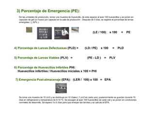 3) Porcentaje de Emergencia (PE):
   De las unidades de producción, tomar una muestra de huevecillo, de esta separar al azar 100 huevecillos y se ponen en
   capsulas de gel (un huevo por capsula) en la sala de producción . Después de 5 días, se registra el porcentaje de larvas
   emergidas ( > 92% ).



                                                                                (LE / 100)       x 100        =    PE




4) Porcentaje de Larvas Defectuosas (PLD) =                             (LD / PE)       x 100        =    PLD


5) Porcentaje de Larvas Viables (PLV) =                                   (PE - LD )        =    PLV


6) Porcentaje de Huevecillos Infértiles PHI:
   Huevecillos infértiles / Huevecillos iniciales x 100 = PHI

7) Emergencia Post-almacenaje (EPA): (LER / 100) x 100 = EPA




   Se toma una muestra de 10 cm3 y se distribuye en 10 Viales ( 1 cm3 en cada uno); posteriormente se guardan durante 15
   días en refrigeración a temperatura de 8-10 oC. Se escogen al azar 100 huevecillos de cada vial y se ponen en condiciones
   normales de desarrollo. Se espera 3 a 5 días para que emerjan las larvitas y se calcula el EPA.
 