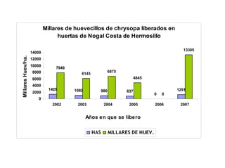 Millares de huevecillos de chrysopa liberados en
                                  huertas de Nogal Costa de Hermosillo

                                                                                        13305
                    14000
Millares Huev/ha.




                    12000
                    10000
                                 7949
                     8000                                6875
                                           6145
                     6000                                          4845
                     4000
                              1429      1092        980         837                   1291
                     2000                                                     0   0
                       0
                               2002      2003           2004     2005         2006     2007


                                               Años en que se libero


                                                  HAS     MILLARES DE HUEV.
 