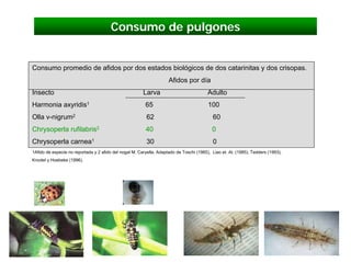 Consumo de pulgones


Consumo promedio de afidos por dos estados biológicos de dos catarinitas y dos crisopas.
                                                                     Afidos por día
Insecto                                                 Larva                            Adulto
Harmonia axyridis1                                       65                              100
Olla v-nigrum2                                            62                                60
Chrysoperla rufilabris2                                  40                                0
Chrysoperla carnea1                                       30                                0
1Afido de especie no reportada y 2 afido del nogal M. Caryella. Adaptado de Toschi (1965), Liao et. At. (1985), Tedders (1993),
Knodel y Hoebeke (1996).
 