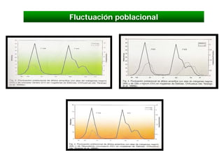 Fluctuación poblacional
 