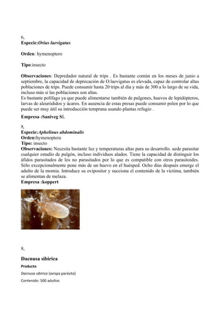 6,
Especie:Orius laevigatus
Orden: hymenoptero
Tipo:insecto
Observaciones: Depredador natural de trips . Es bastante común en los meses de junio a
septiembre, la capacidad de deprecación de O.laevigatus es elevada, capaz de controlar altas
poblaciones de trips. Puede consumir hasta 20 trips al día y más de 300 a lo largo de su vida,
incluso más si las poblaciones son altas.
Es bastante polífago ya que puede alimentarse también de pulgones, huevos de lepidópteros,
larvas de aleuródidos y ácaros. En ausencia de estas presas puede consumir polen por lo que
puede ser muy útil su introducción temprana usando plantas refugio .
Empresa :Saniveg SL
7,

Especie:Aphelinus abdominalis
Orden:hymenoptera
Tipo: insecto
Observaciones: Necesita bastante luz y temperaturas altas para su desarrollo. uede parasitar
cualquier estadío de pulgón, incluso individuos alados. Tiene la capacidad de distinguir los
áfidos parasitados de los no parasitados por lo que es compatible con otros parasitoides.
Sólo excepcionalmente pone más de un huevo en el huésped. Ocho días después emerge el
adulto de la momia. Introduce su ovipositor y succiona el contenido de la víctima, también
se alimentan de melaza.
Empresa :koppert

8,

Dacnusa sibirica
Producto
Dacnusa sibirica (avispa parásita)
Contenido: 500 adultos

 