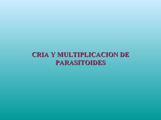 CRIA Y MULTIPLICACION DECRIA Y MULTIPLICACION DE
PARASITOIDESPARASITOIDES
 