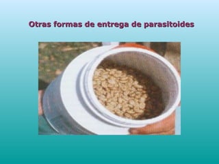 Otras formas de entrega de parasitoidesOtras formas de entrega de parasitoides
 