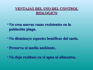 VENTAJAS DEL USO DEL CONTROLVENTAJAS DEL USO DEL CONTROL
BIOLOGICOBIOLOGICO
• No crea nuevas razas resistentes en laNo crea nuevas razas resistentes en la
población plaga.población plaga.
• No disminuye especies benéficas del suelo.No disminuye especies benéficas del suelo.
• Preserva el medio ambiente.Preserva el medio ambiente.
• No deja residuos en el agua ni alimentos.No deja residuos en el agua ni alimentos.
 