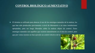 CONTROL BIOLÓGICO AUMENTATIVO
 El término es utilizado para abarcar el uso de los enemigos naturales de la maleza, los
que han sido producidos previamente a nivel de laboratorio o en otras instalaciones
apropiadas, para ser luego liberados sobre la maleza objeto de control. Estos
enemigos naturales son aquéllos que ocurren naturalmente en el área de control, pero
que por varias razones no han ejercido un control efectivo de la maleza.
 