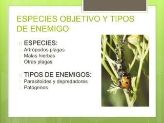 ESPECIES OBJETIVO Y TIPOS
DE ENEMIGO
 ESPECIES:
 Artrópodos plagas
 Malas hierbas
 Otras plagas
 TIPOS DE ENEMIGOS:
 Parasitoides y depredadores
 Patógenos
 