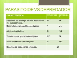 CARACTERISTICA PARASITOIDE DEPREDADO
R
Desarrollo del enemigo natural: destrucción
del huésped/presa.
NO SI
Desarrollo: empleo del huésped/presa 1 vrs
Adultos de vida libre SI NO
Tamaño mayor que el huésped/presa. NO SI
Especificidad del huésped/presa. SI NO
Dinámica de poblaciones similares. SI
PARASITOIDEVSDEPREDADOR
 