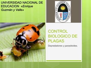 CONTROL
BIOLOGICO DE
PLAGAS
Depredadores y parasitoides.
UNIVERSIDAD NACIONAL DE
EDUCACION «Enrique
Guzmán y Valle»
 