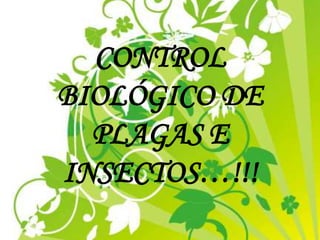 CONTROL
BIOLÓGICO DE
PLAGAS E
INSECTOS…!!!
 