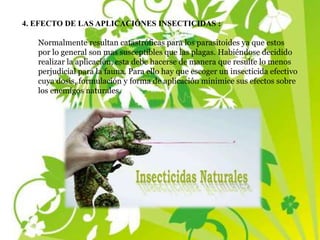 4. EFECTO DE LAS APLICACIÓNES INSECTICIDAS :
Normalmente resultan catastróficas para los parasitoides ya que estos
por lo general son mas susceptibles que las plagas. Habiéndose decidido
realizar la aplicación, esta debe hacerse de manera que resulte lo menos
perjudicial para la fauna. Para ello hay que escoger un insecticida efectivo
cuya dosis, formulación y forma de aplicación minimice sus efectos sobre
los enemigos naturales.
 